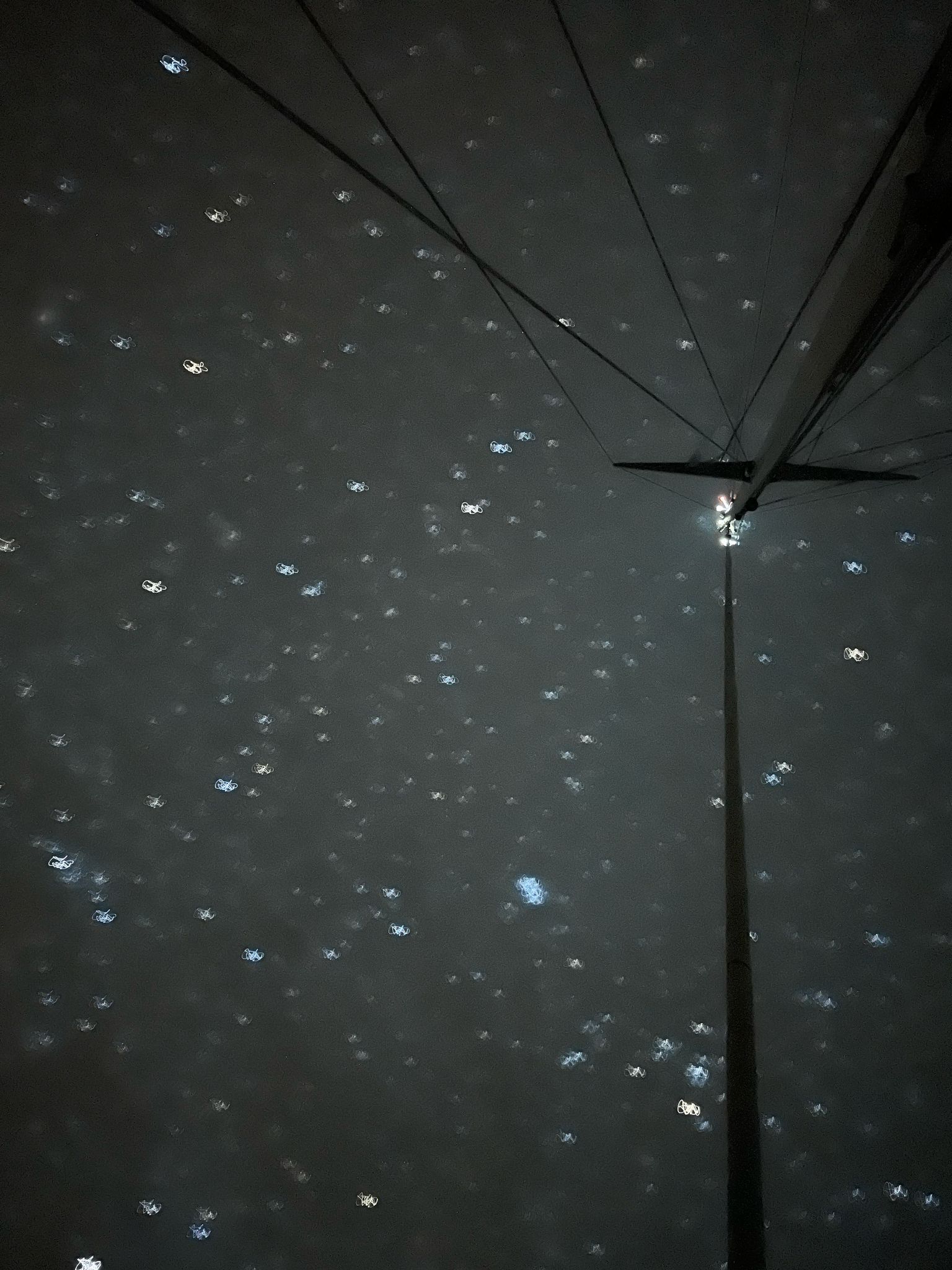Stars over the boat