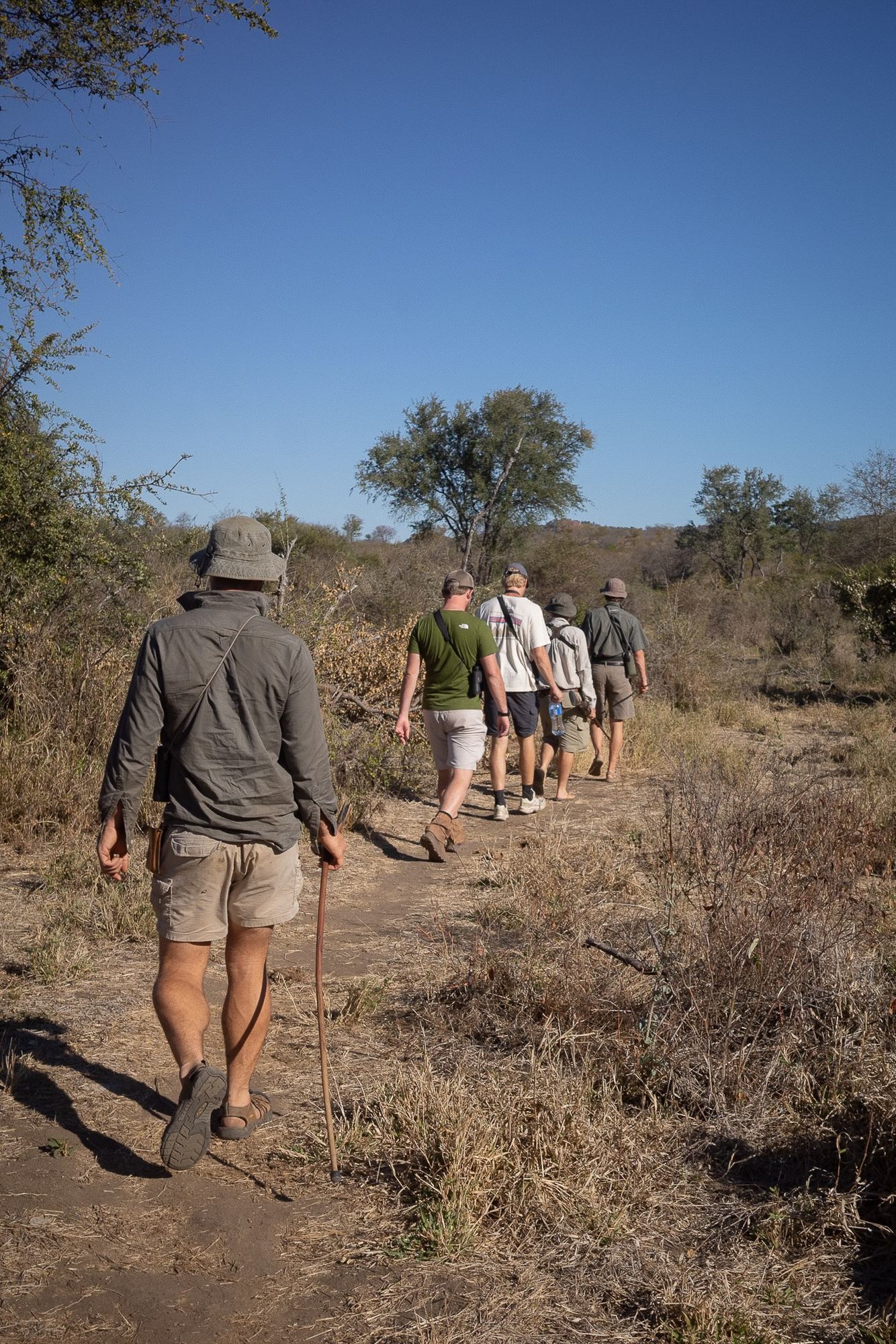 Walkers in single file on a bush path