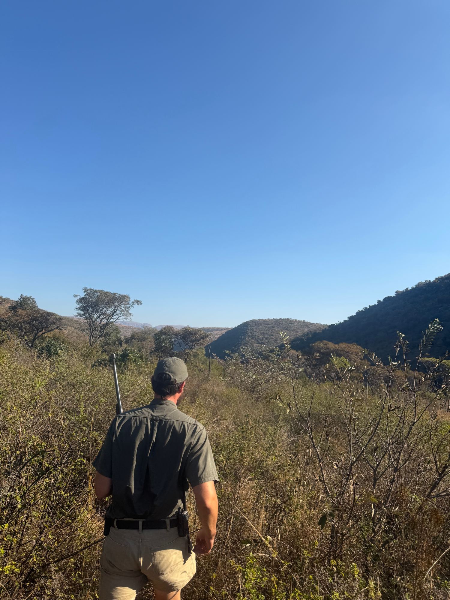 A guide with a rifle leading through a grassy valley