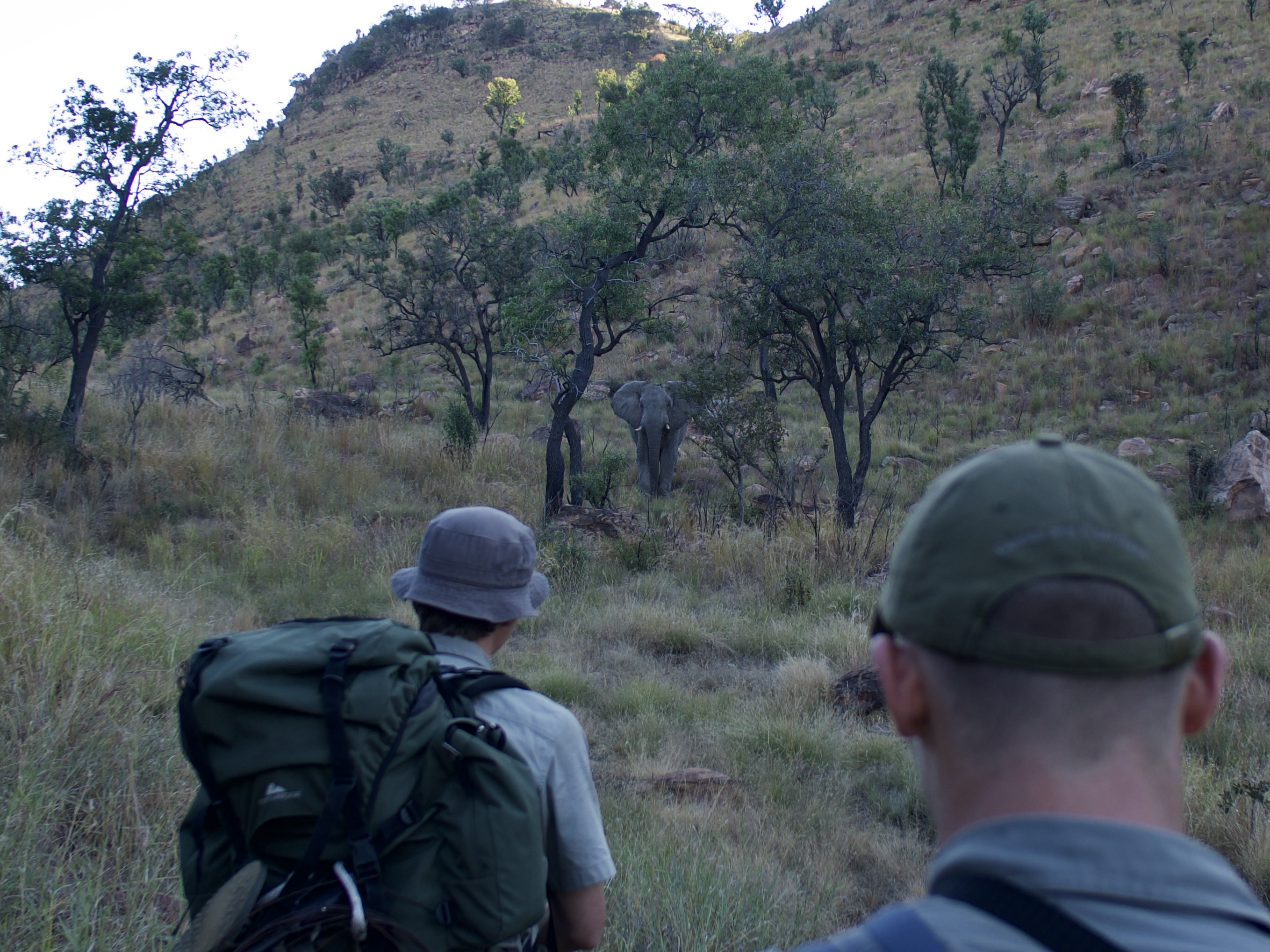 A guide looking out over a wide Waterberg valley