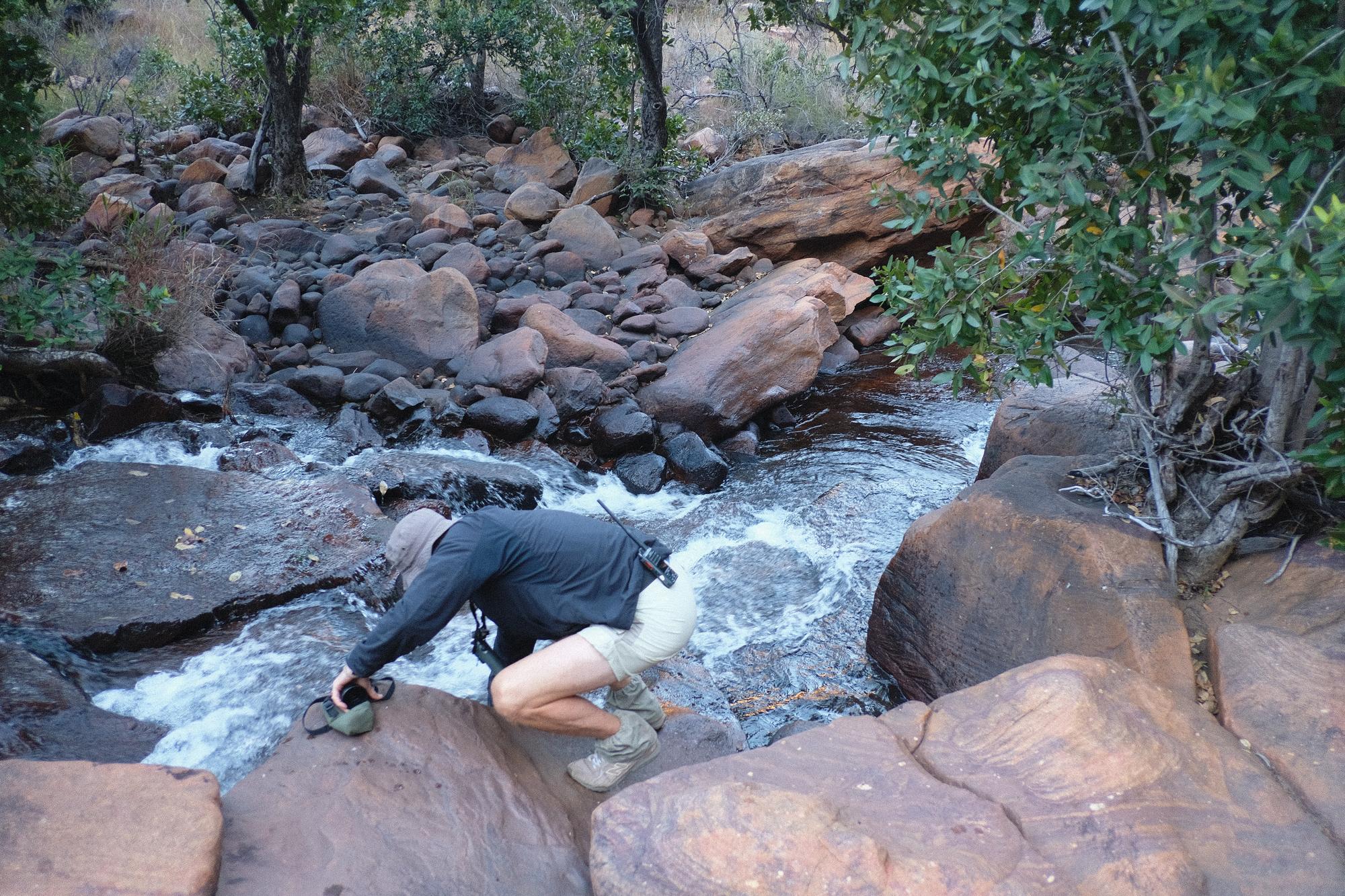A walker drinking from a rocky stream