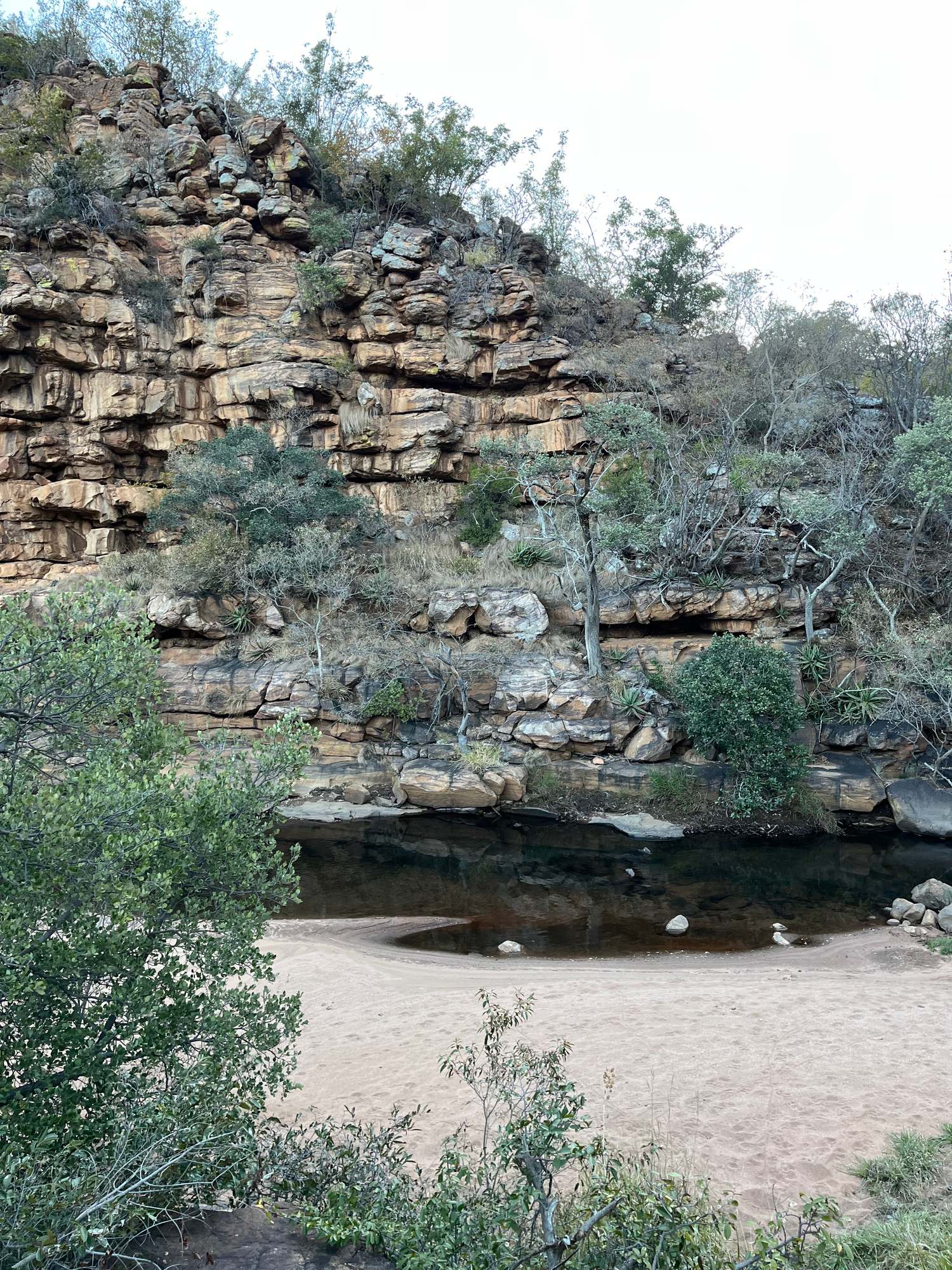 A quiet river pool below a layered cliff