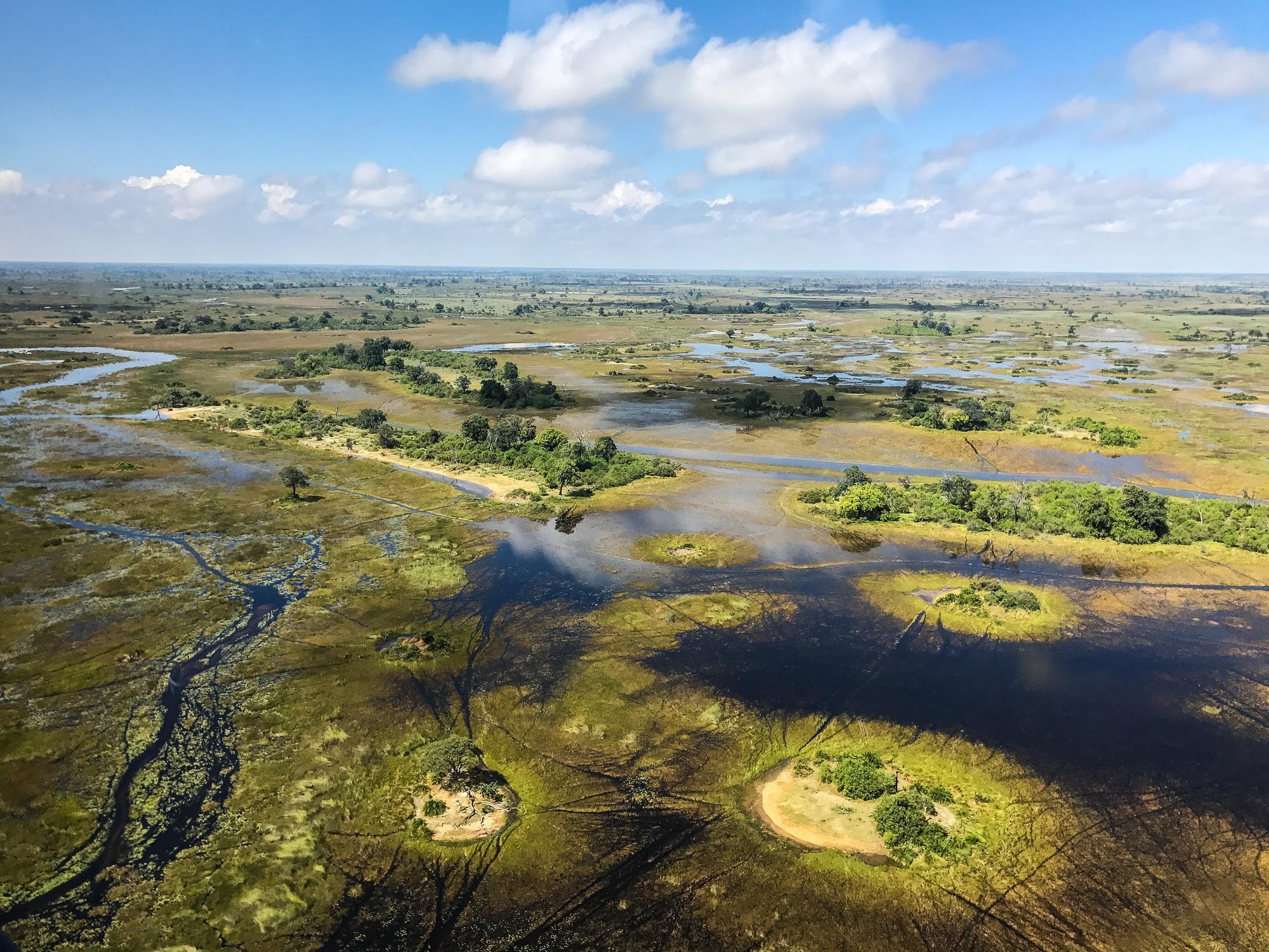 Aerial view of the Okavango Delta