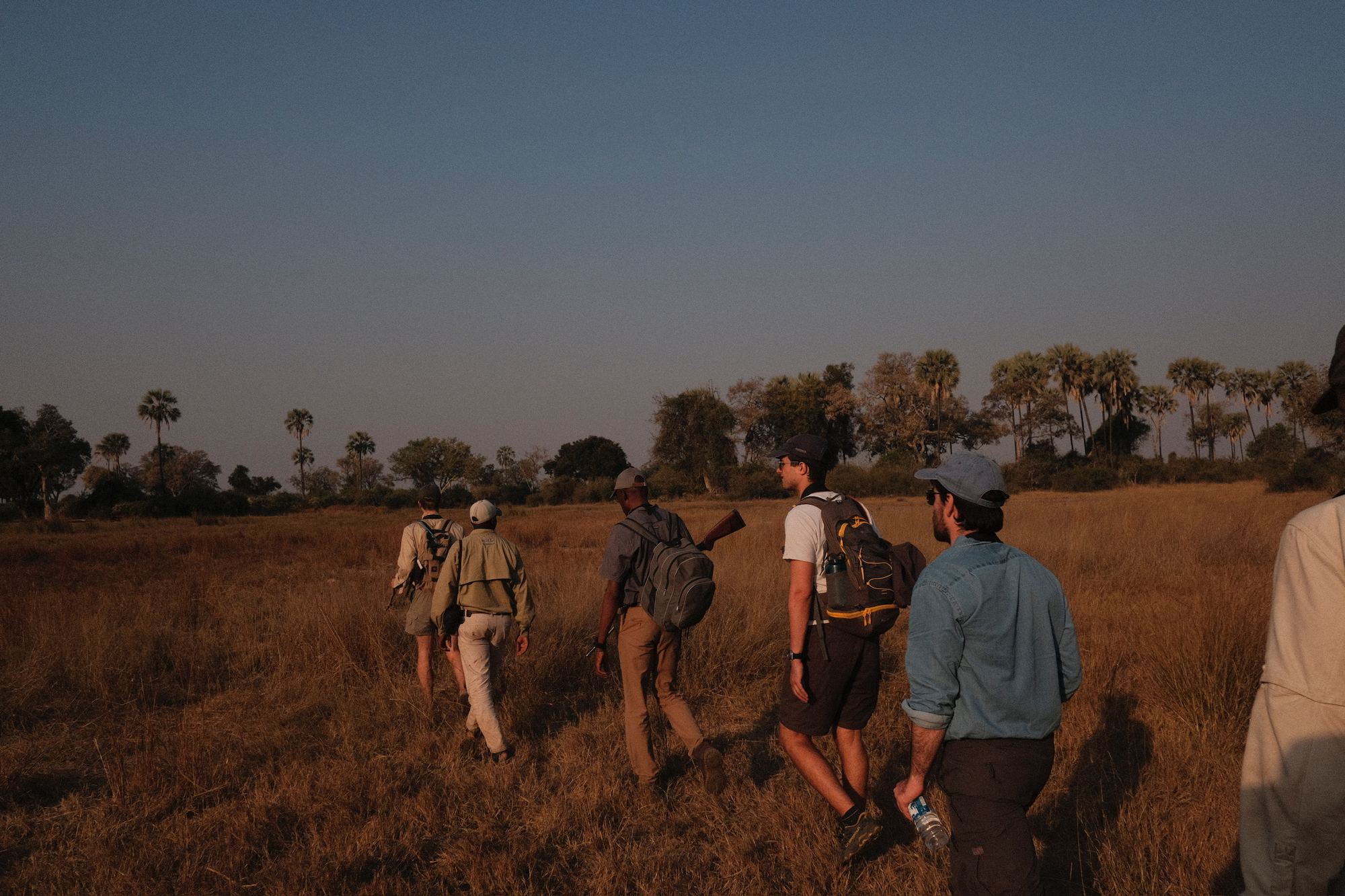 Walkers in single file across the floodplain at dusk
