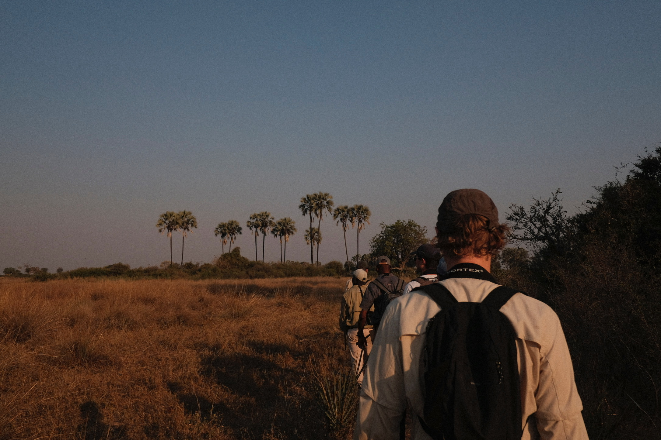 Walkers crossing a golden floodplain below palm trees