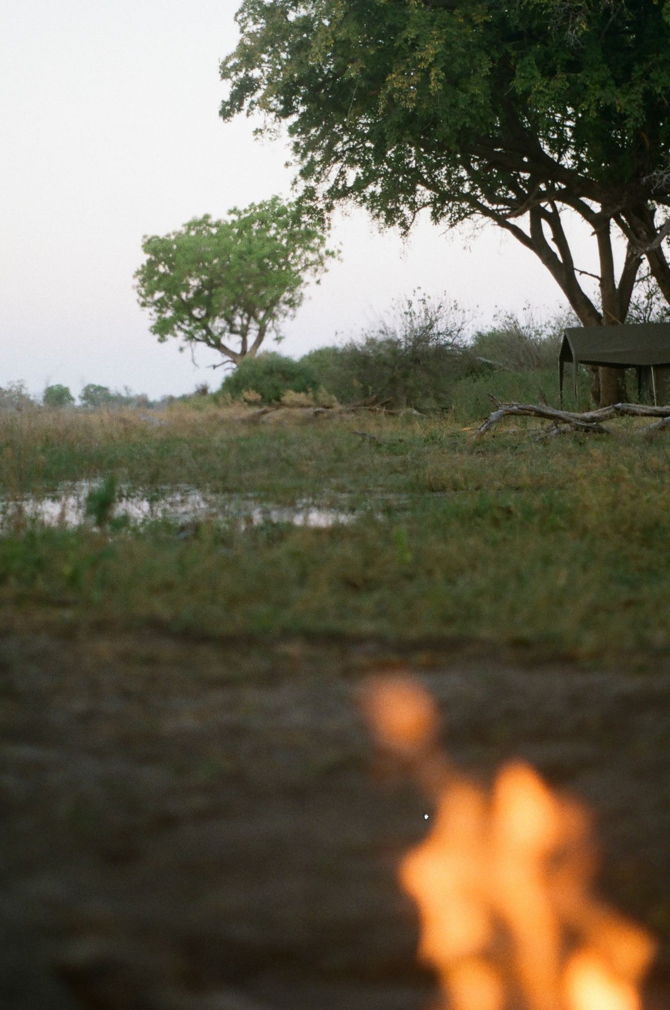 Campfire flames at the edge of the floodplain